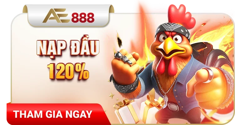 nap-dau-120-da-ga