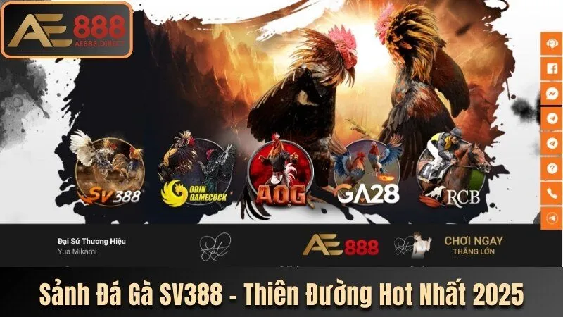 Đá Gà SV388
